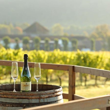 Denbies Vineyard Hotel Доркинг Екстериор снимка