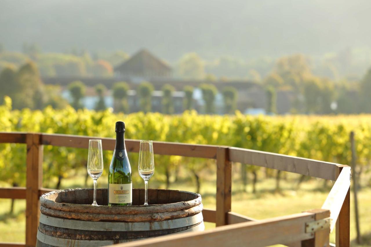 Denbies Vineyard Hotel Доркинг Екстериор снимка