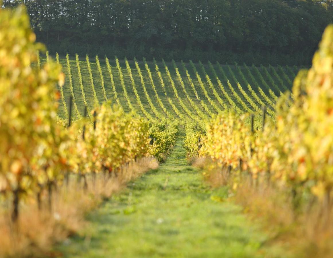 Denbies Vineyard Hotel Доркинг Екстериор снимка