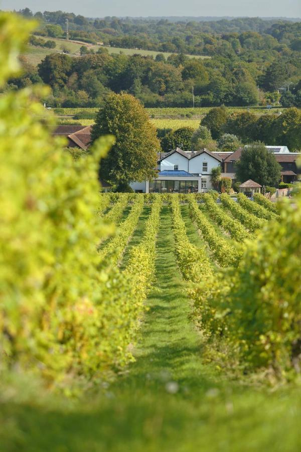 Denbies Vineyard Hotel Доркинг Екстериор снимка