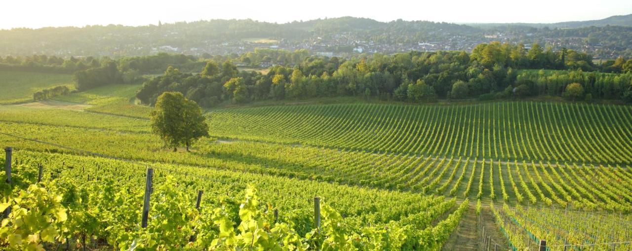 Denbies Vineyard Hotel Доркинг Екстериор снимка