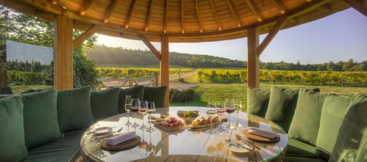 Denbies Vineyard Hotel Доркинг Екстериор снимка
