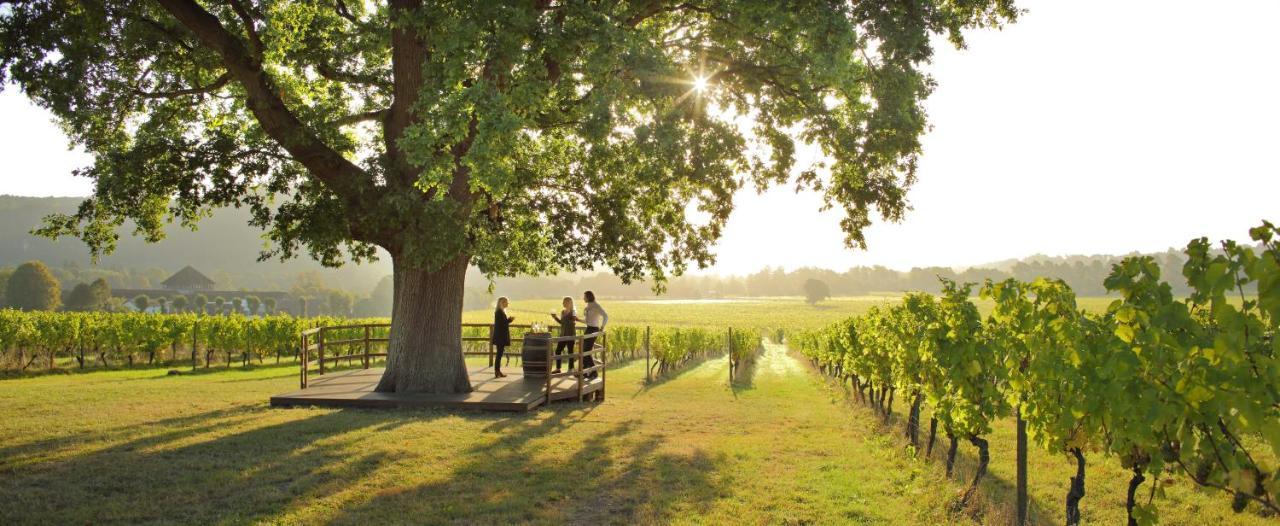 Denbies Vineyard Hotel Доркинг Екстериор снимка