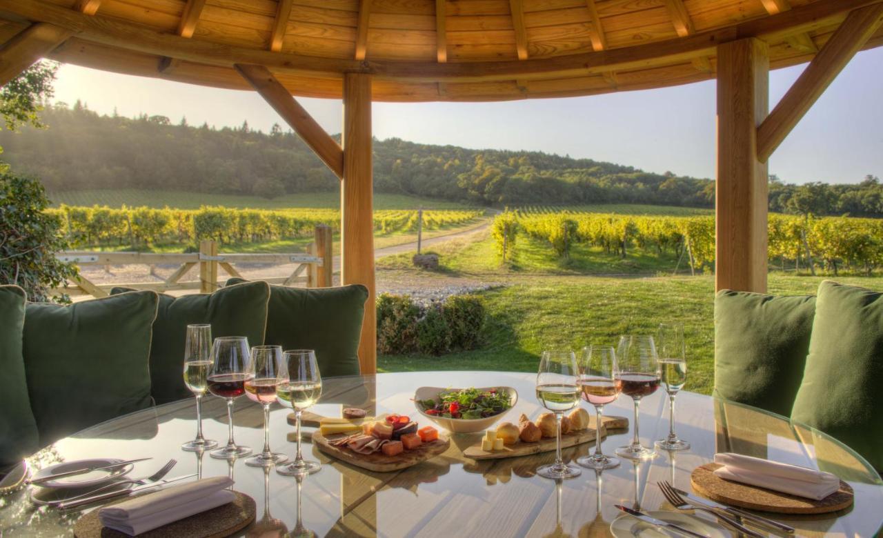 Denbies Vineyard Hotel Доркинг Екстериор снимка