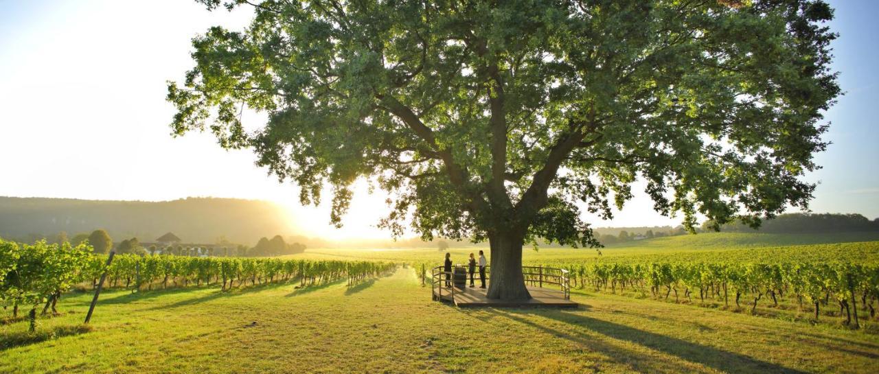 Denbies Vineyard Hotel Доркинг Екстериор снимка
