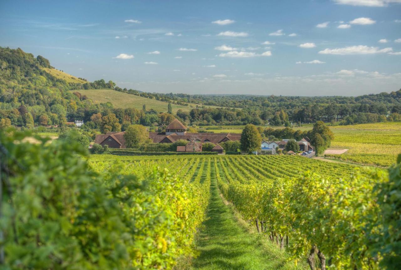 Denbies Vineyard Hotel Доркинг Екстериор снимка